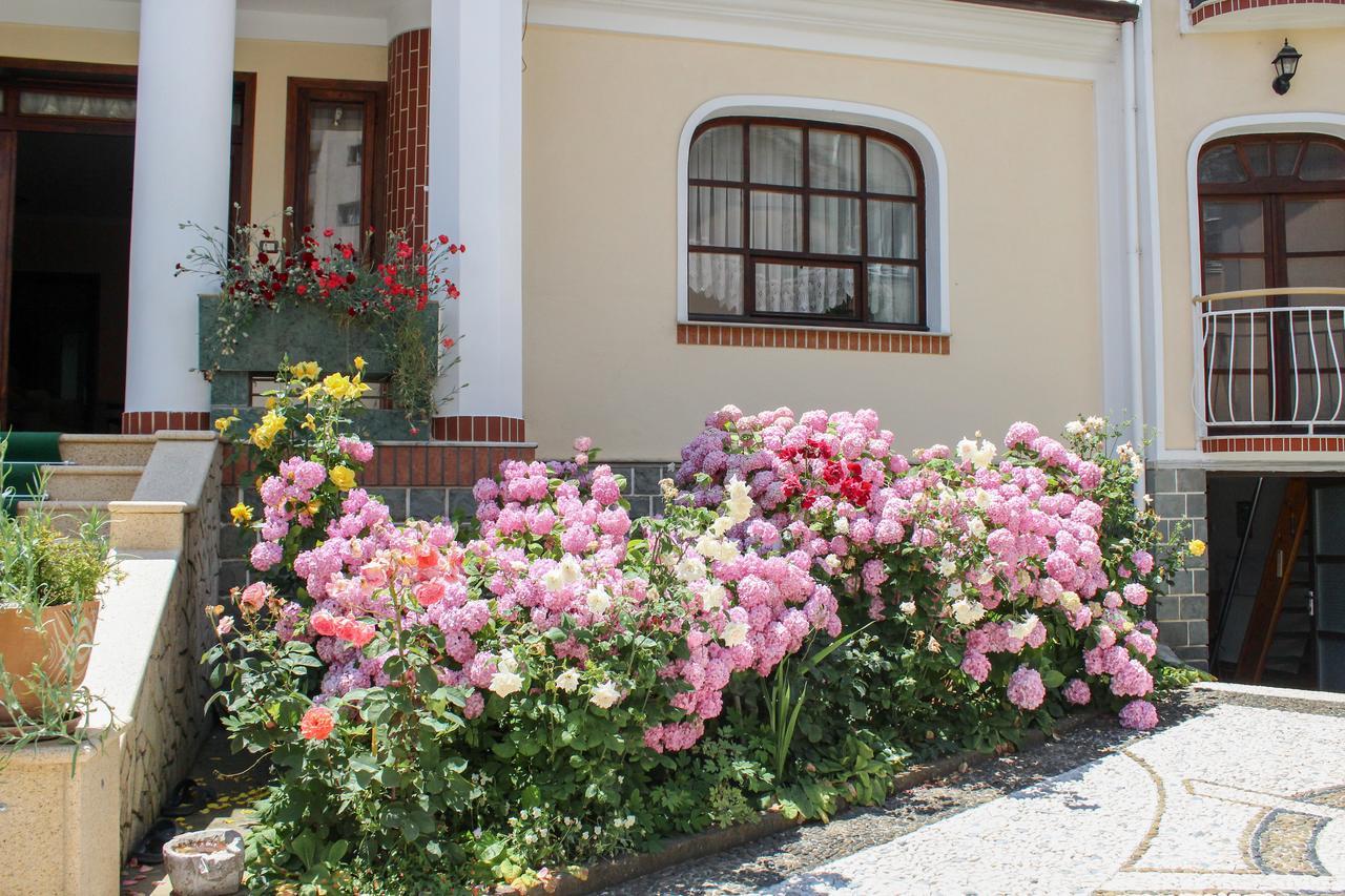 Vila Topciu Pogradec Exterior photo